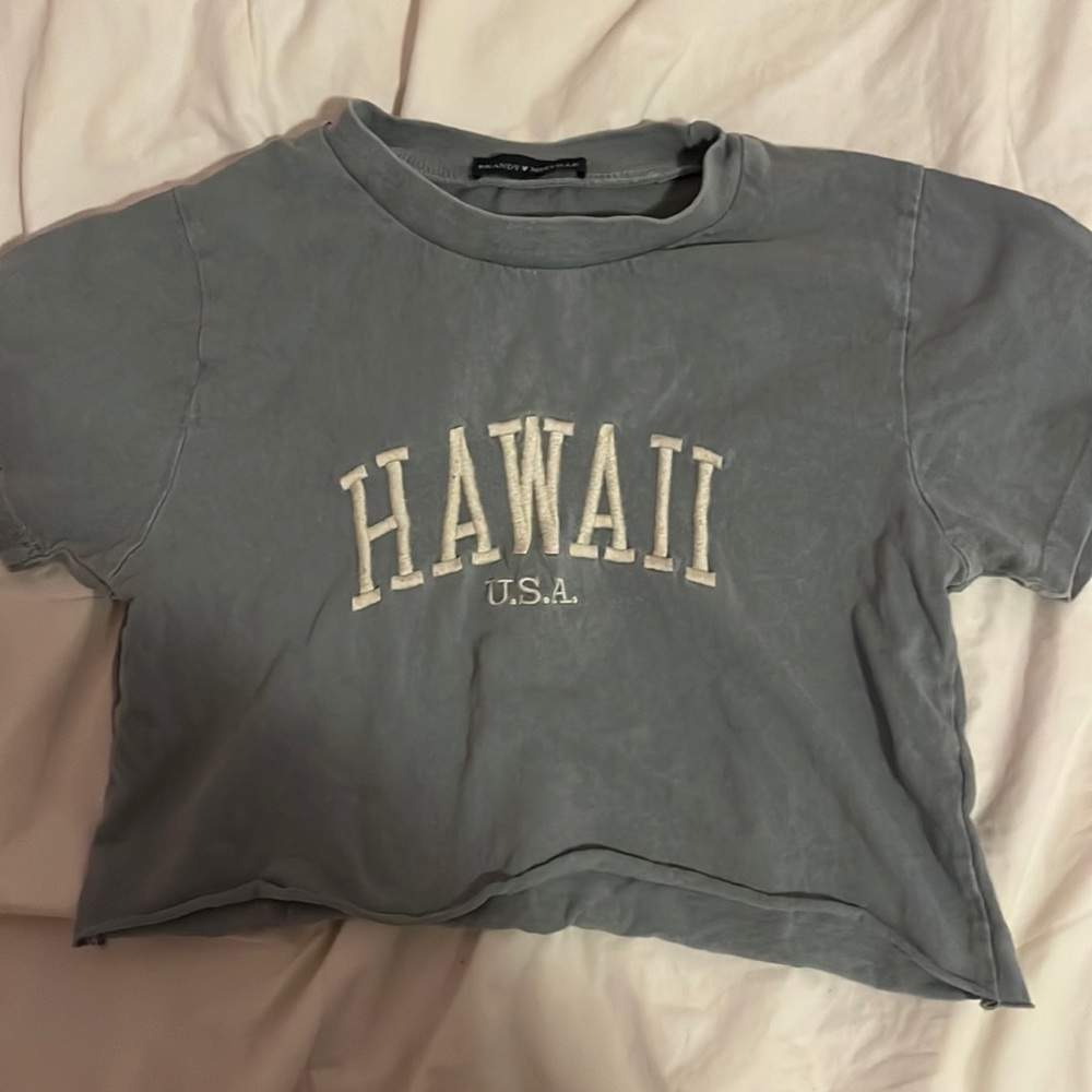 brandy melville light blue hawaii t shirt